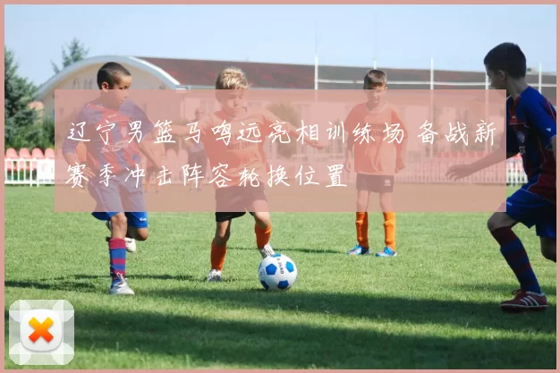 辽宁男篮马鸣远亮相训练场 备战新赛季冲击阵容轮换位置