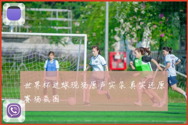世界杯进球现场原声实录 真实还原赛场氛围